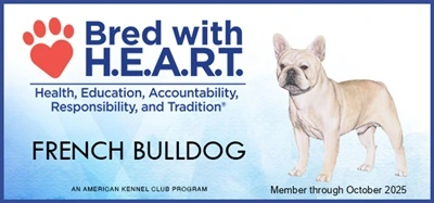 French Bulldog Bred with Heart 2025