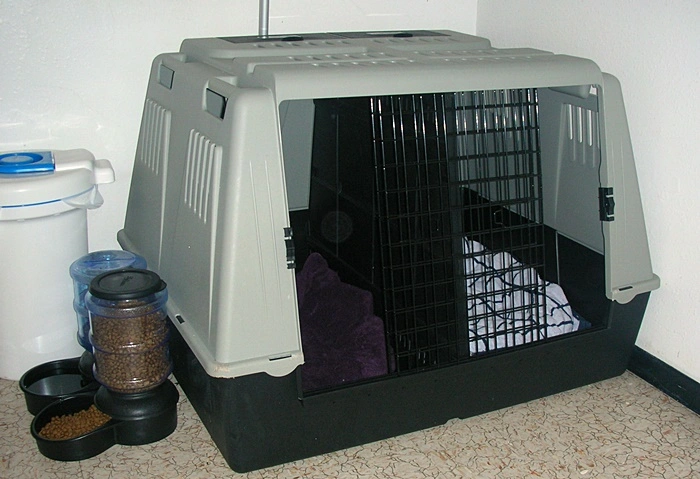 French Bulldog puppy crate and supplies prepared for arrival